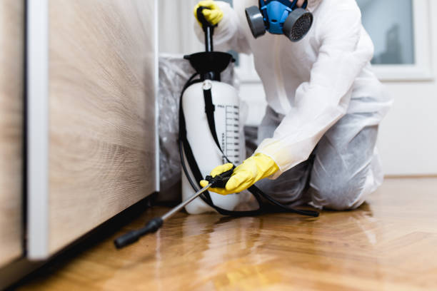 Best Local Pest Control Services  in Byron, IL
