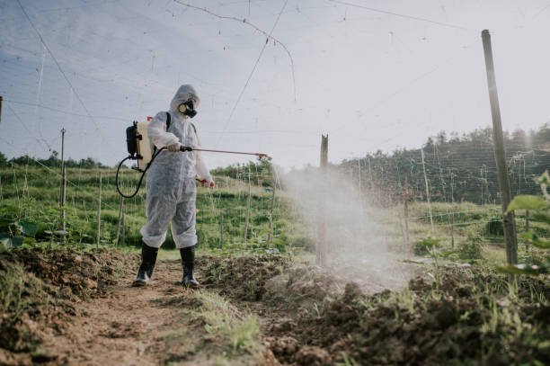 Best Pest Removal Services  in Byron, IL