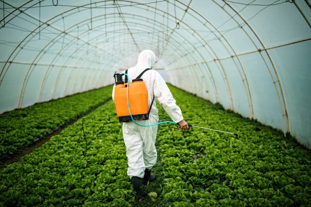Best Best Pest Control Companies  in Byron, IL