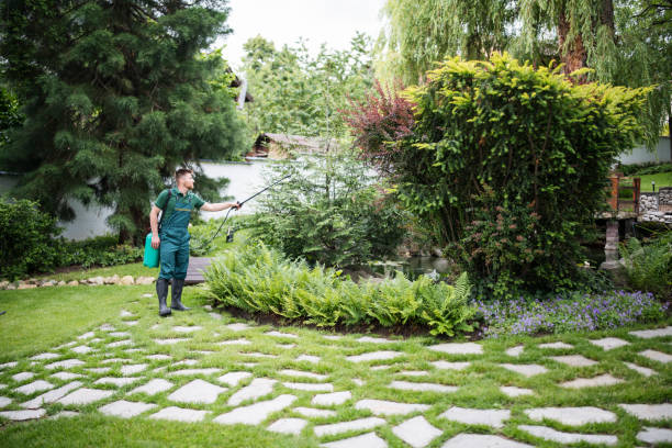 Professional Pest Control in Byron, IL