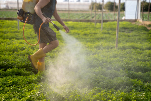 Best Wasp Removal Services  in Byron, IL