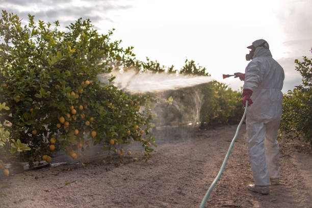 Best Mosquito Control Services  in Byron, IL