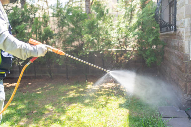 Best Termite Control Services  in Byron, IL
