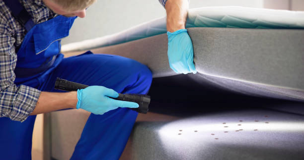 Best Bed Bug Extermination  in Byron, IL