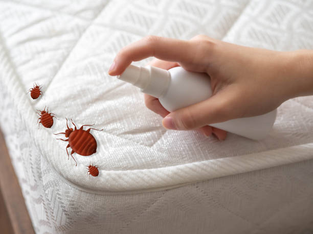 Best Affordable Pest Control Services  in Byron, IL