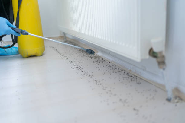 Best Pest Prevention Services  in Byron, IL