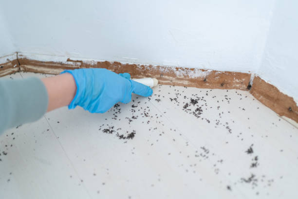 Best Residential Pest Control  in Byron, IL